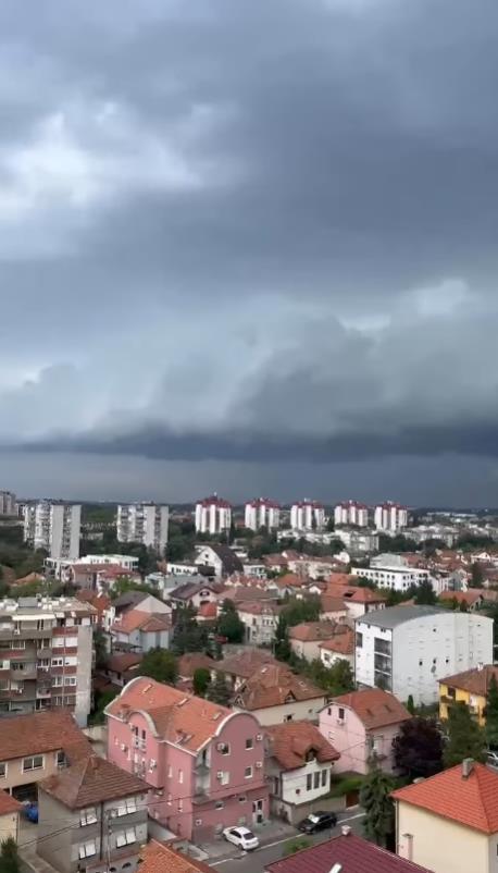 Zemun (1).png