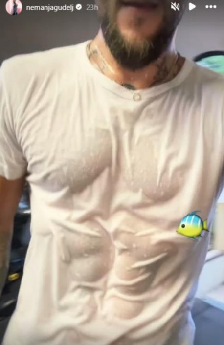 Nemanja Gudelj