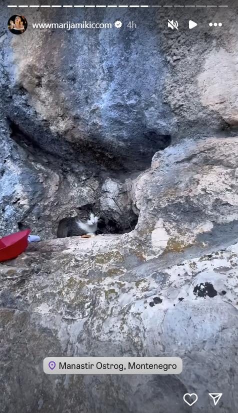 Mačke pod Ostrogom