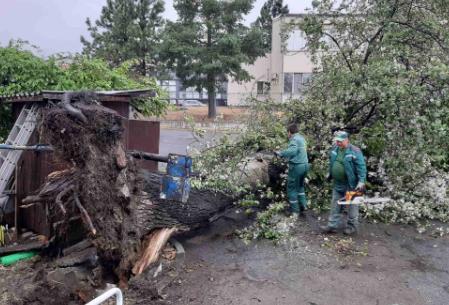 Screenshot 2025-07-18 173820.jpg