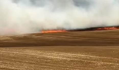 požar njive Kula