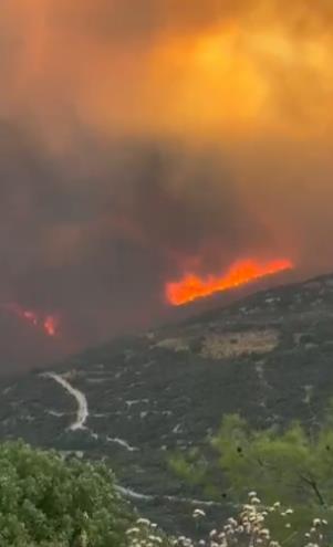 Screenshot 2025-07-26 125449.png