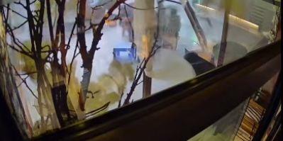 nevreme Veliko Gradište instagram 192.jpg