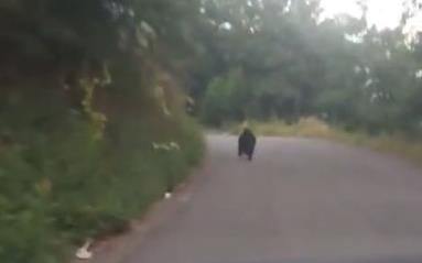 Screenshot 2025-07-27 090540.png