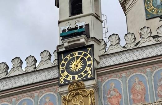 Dva jarca na trgu u Poznanju.jpg