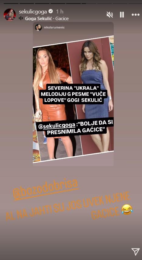 Severina ukrala pesmu Gogi Sekulić