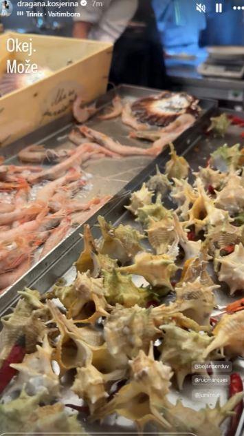 Pult sa svežim škampima i puževima izloženim na pijaci morskih plodova