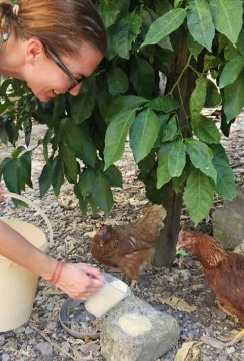 Adriana Čortan hrani kokoške