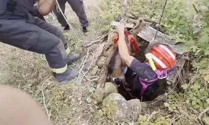 Screenshot 2025-08-30 111533.png