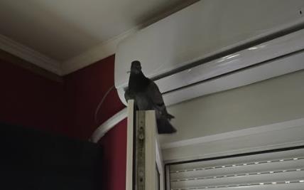 Screenshot 2025-09-04 135737.jpg