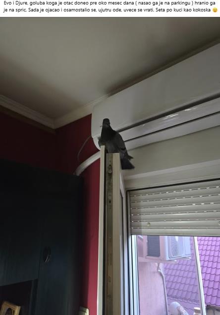 Screenshot 2025-09-04 135732.jpg