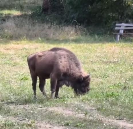 Screenshot 2025-09-06 181818.jpg