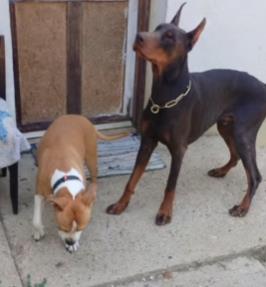 2025-09-10 11_16_50-Settings.png