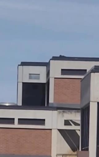 2025-09-11 09_15_31-Instagram — Mozilla Firefox.png