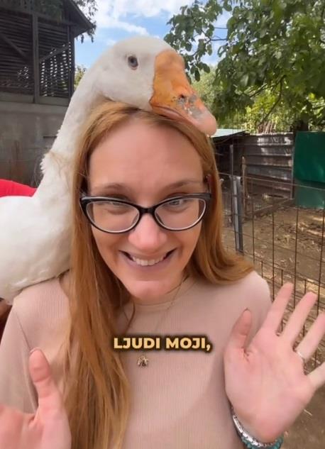 U ovom zooloskom vrtu mozete maziti sve zivotinje.jpg