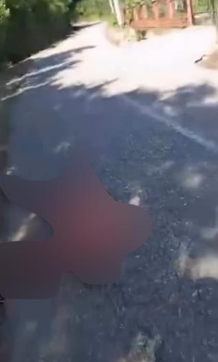 Screenshot 2025-09-15 155941 copy.png