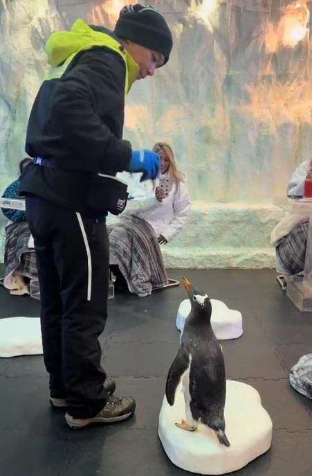 rucak sa pingvinima2.jpg