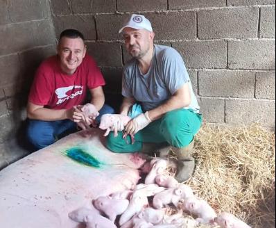 Screenshot 2025-09-18 120221.jpg