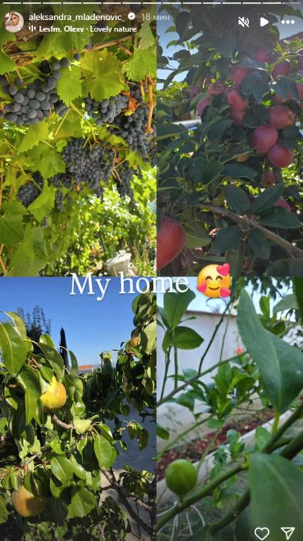 Aleksandra Mladenović pokaza imanje
