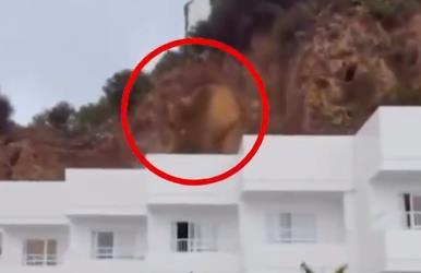 2025-10-02 11_20_22-Shock moment cliff collapses into Ibiza hotel in front of screaming tourists as .png