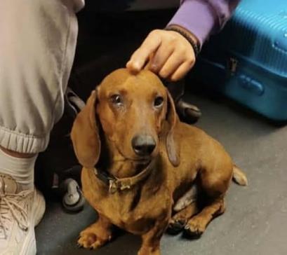 Screenshot 2025-10-06 110208.jpg