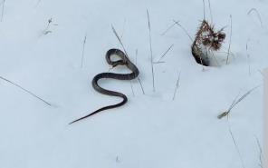 Screenshot 2025-10-07 103244.jpg