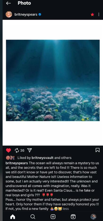 Britni Spirs oglasila se povodom optužbi njenog bivšeg supruga.jpg