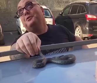 Screenshot 2025-10-21 090852.jpg