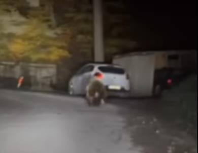 Screenshot 2025-10-29 202404.jpg