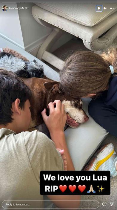 Pas Toma Brejdija, Džuni, preminuo je 2023 godine