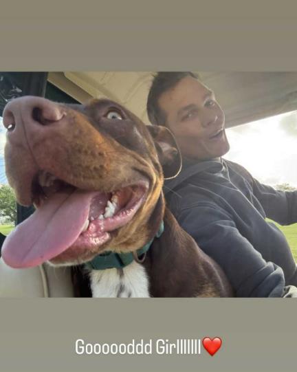 Pas Toma Brejdija, Džuni, preminuo je 2023 godine