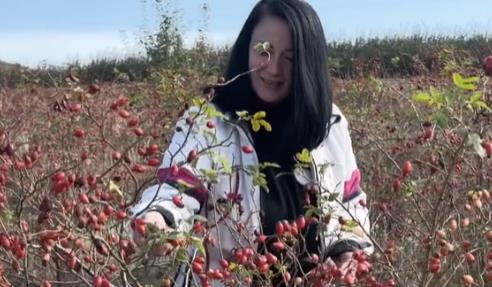 Screenshot 2025-11-10 135326.png