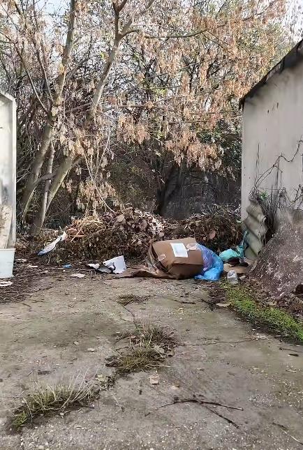 mesto zločina (1).png