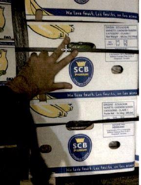 kokain Roterdam 11.jpg