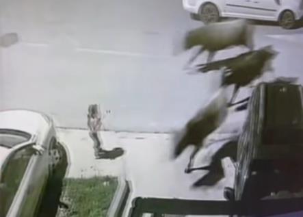 Screenshot 2025-11-13 110558.png