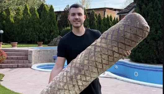 Viktor Živojinović sprema slavu