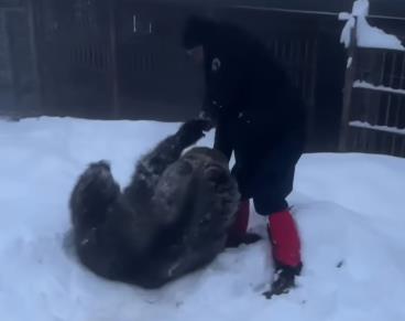 Screenshot 2025-11-23 101053.jpg