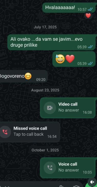 Ana Nikolić objavila Raletove poruke s devojkom