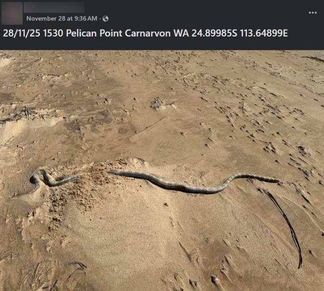 Screenshot 2025-12-03 190233.jpg