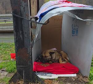 Screenshot 2025-12-08 093729.jpg