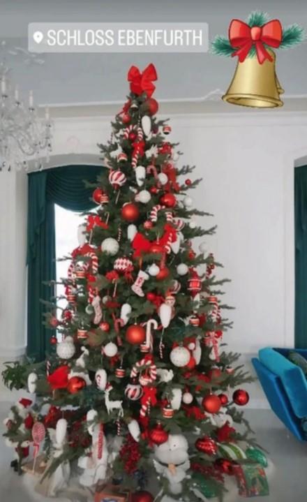 Dragana Mirković okitila jelka