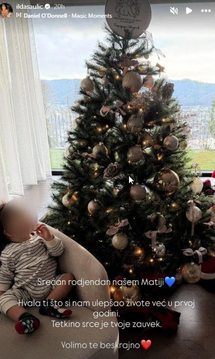 Sin Mihajla Šaulića