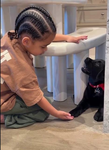 Screenshot 2025-12-28 214304.png