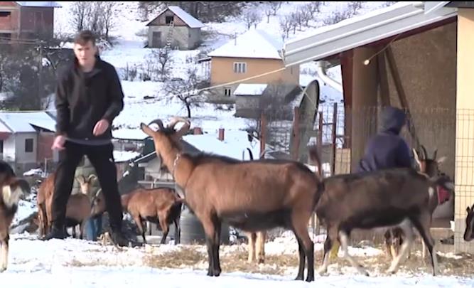 Milka Perovanović (11).png