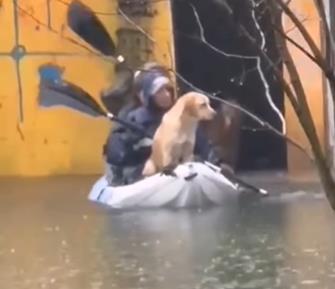 Devojke spasile pse od poplave u Blacama.