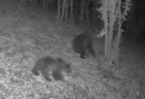 Screenshot 2026-01-17 200253.jpg