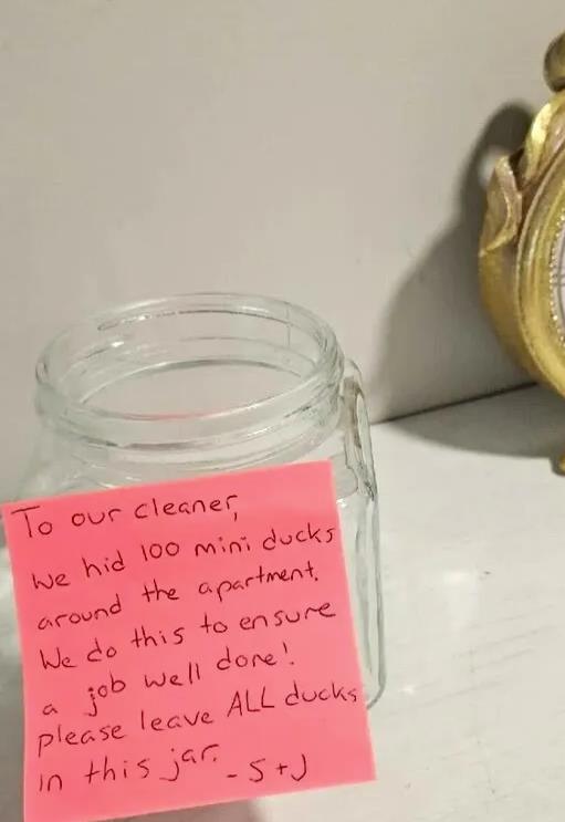 žena sakrila patkice po stanu da testira čistačicu (1).jpg