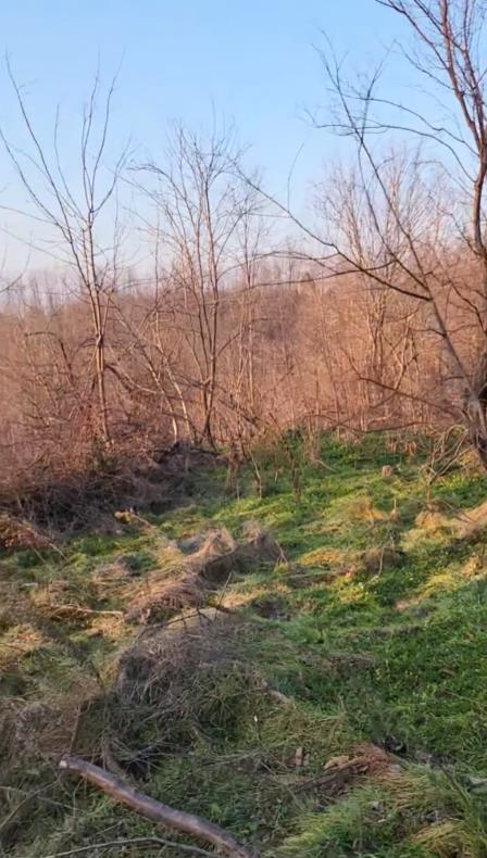 Screenshot 2026-01-27 163139.png