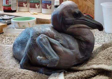 Screenshot 2026-01-28 114414.jpg