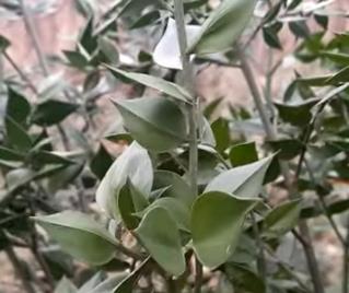 Screenshot 2026-02-02 121431.jpg